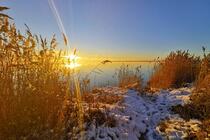 Born a. Darß - Bodden im Winter