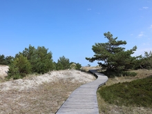 Rundwanderweg Darßer Ort