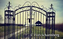 Liebestor im romantisch gelegenen Boddenort Born a. Darß