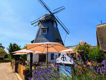 Mühle Born a. Darß