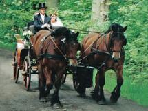 Kutsch- und Kremserfahrten Ralf-Dieter Bergmann