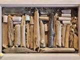 Pommernstube Zingst - Workshop Treibgutbilder