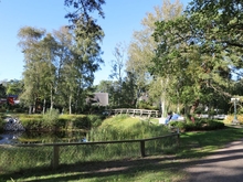 Kurpark im Ostseebad Dierhagen