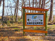 Walderlebnispfad Dierhagen