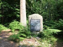 Ruhestätte Ferdinand von Raesfeld im Darßwald