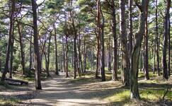 Seen der Insel Rügen