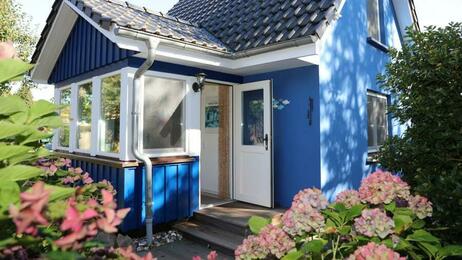 Ferienhaus Ostseebad Ahrenshoop