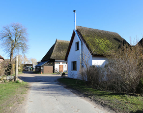 Ferienhaus Ostseebad Ahrenshoop Reiterhof Völkner