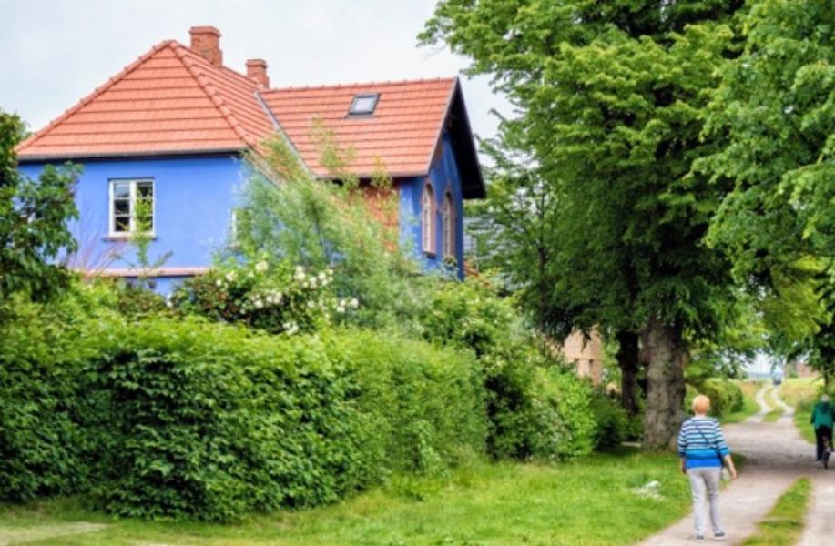 Ferienwohnung Ostseebad Wustrow Ferienwohnung - Blick Kräutergarten - Ostsee-Urlaub in der Region Fischland-Darß-Zingst