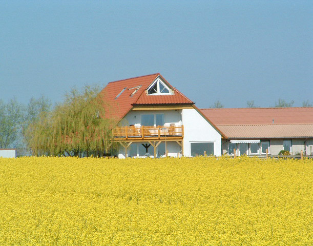 Ferienwohnung Ostseebad Wustrow Ferienwohnung -Ostsee- - Ostsee-Urlaub in der Region Fischland-Darß-Zingst