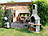 Ferienwohnung Born a. Darß - Terrasse