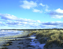 Bungalow Ostseebad Prerow  - Ostsee-Urlaub in der Region Fischland-Darß-Zingst