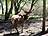 Natur pur