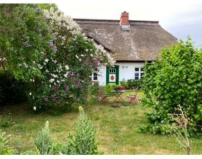 Ferienwohnung Wieck a. Darß Ferienwohnung Gartenblick 2