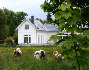 Ferienhaus Ostseebad Prerow Die Stemsperle