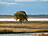 Bodden