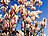 Magnolie vor unserem Haus