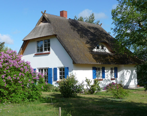 Ferienwohnung Wieck a. Darß Ferienhaus Tonis Fliedergarten Ferienwohnung OG