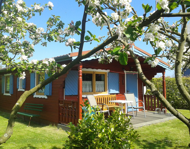Bungalow Ostseebad Prerow Holzhaus Brandt - Ostsee-Urlaub in der Region Fischland-Darß-Zingst