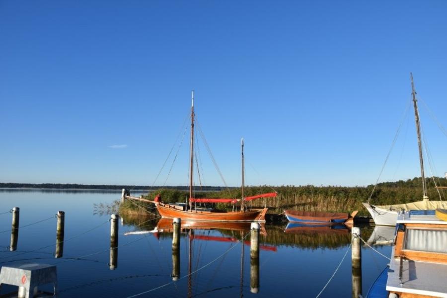 Ferienhaus Wieck a. Darß Haus an der Tanne - Ostsee-Urlaub in der Region Fischland-Darß-Zingst