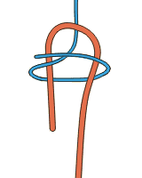 doppelter Schotstek - Knoten & Steke