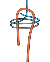 doppelter Schotstek - Knoten & Steke
