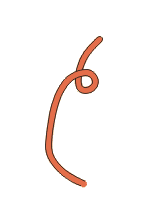 Palstek - Knoten & Steke