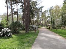 Kurpark im Ostseebad Prerow