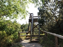 Aussichtsturm »Hohe Düne« Prerow