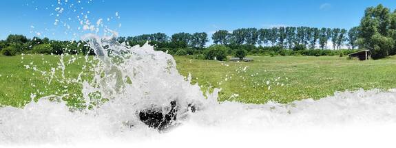 Hundeauslaufzonen M-V