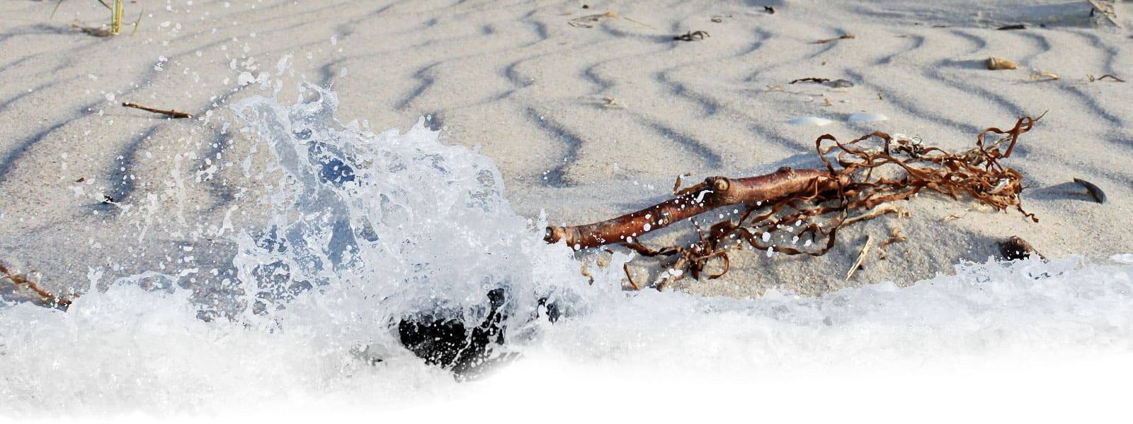 Informationssystem Fischland-Darß-Zingst