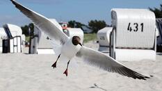 Urlaubsorte entlang der Ostsee