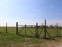 Hundeauslaufzone Ostseebad Wustrow