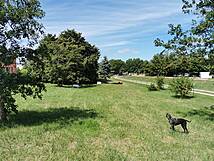 Hundespielplatz Hundeauslauf Zingst