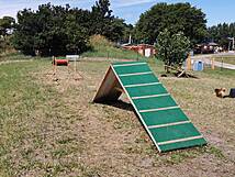 Hundespielplatz Zingst - Sportgerät Hinderniswand