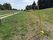 Hundespielplatz Zingst - Sportgerät Slalomstangen