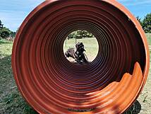 Hundespielplatz Zingst - Sportgerät Tunnel