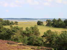 Sundische Wiese Zingst