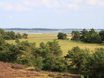 Sundische Wiese Zingst