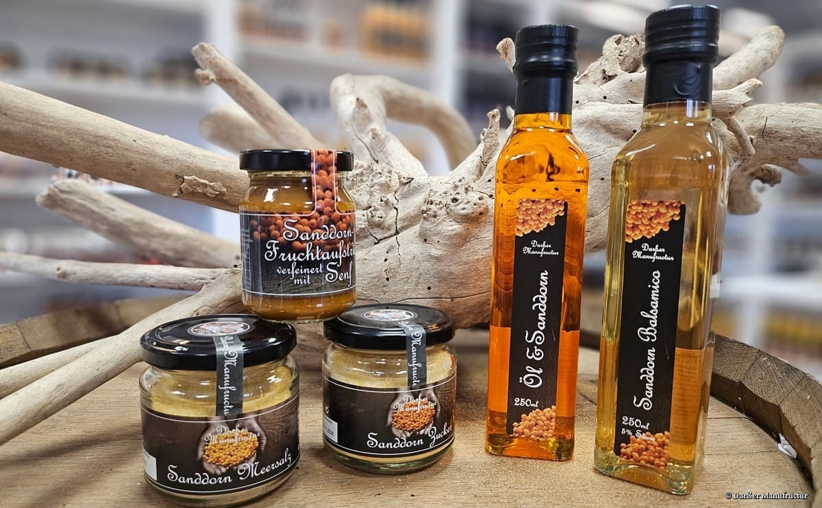 Darßer Manufructur in Daskow