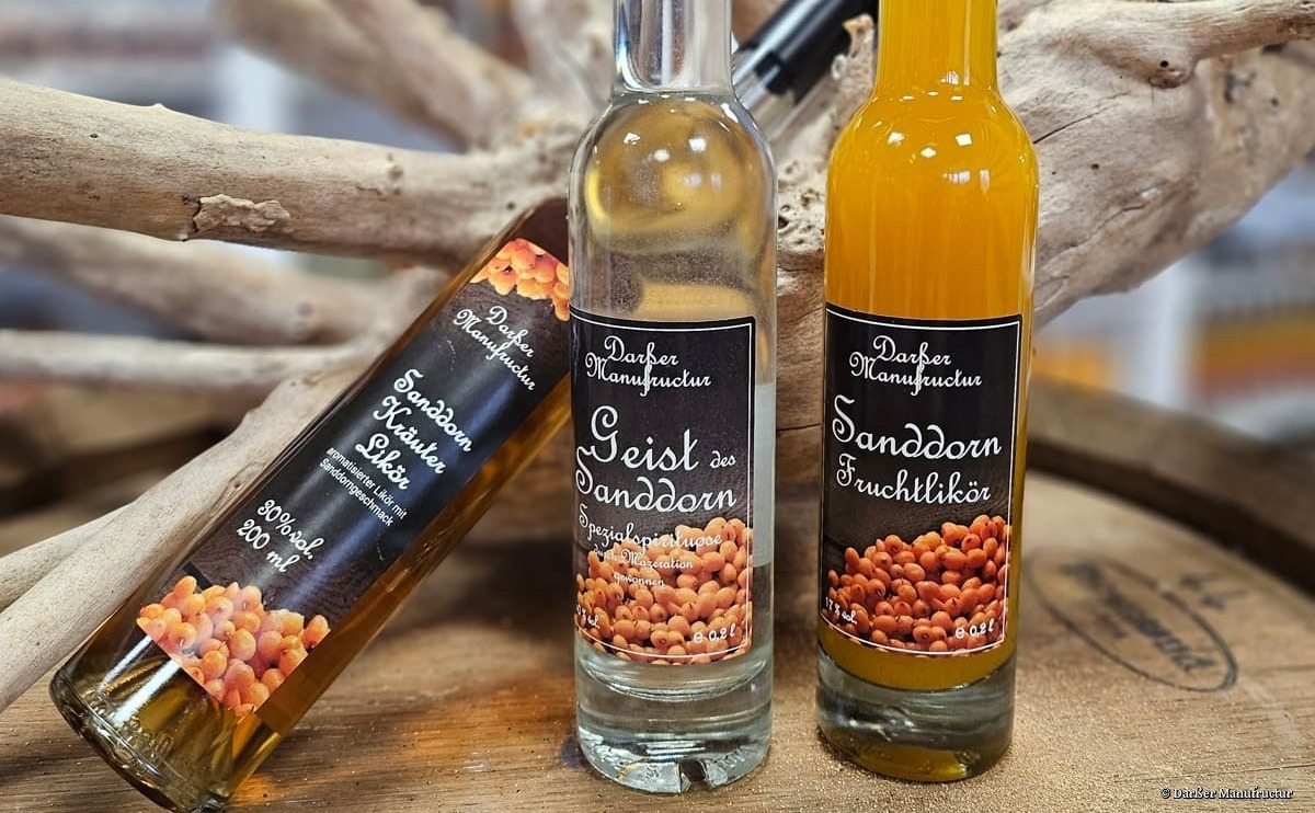 Darßer Manufructur in Daskow