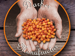 Darßer Manufructur Ahrenshagen-Daskow