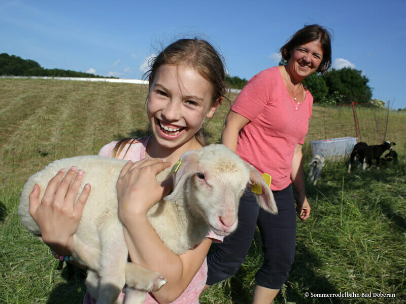 Sommerrodelbahn Bad Doberan - Tiere