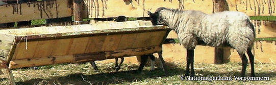 Nationalparkhaus Hiddensee in Vitte - Kulturpfleger
