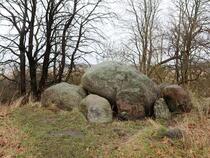 Großsteingrab Goldbusch Altensien