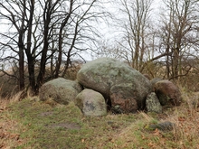 Großsteingrab Goldbusch Altensien