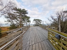 Aussichtsplattform am »Haus des Gastes« Baabe