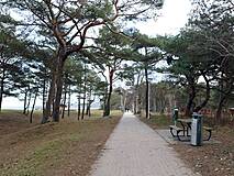 Baabe Strandzugang 8 - Promenade