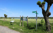 Nonnensee bei Bergen auf der Insel Rügen – Lehrpfadtafel 7
