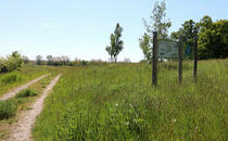 Nonnensee bei Bergen auf der Insel Rügen – Lehrpfadtafel 3